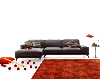 Ditre Italia - Shade