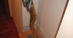 Bodinger - zádveří